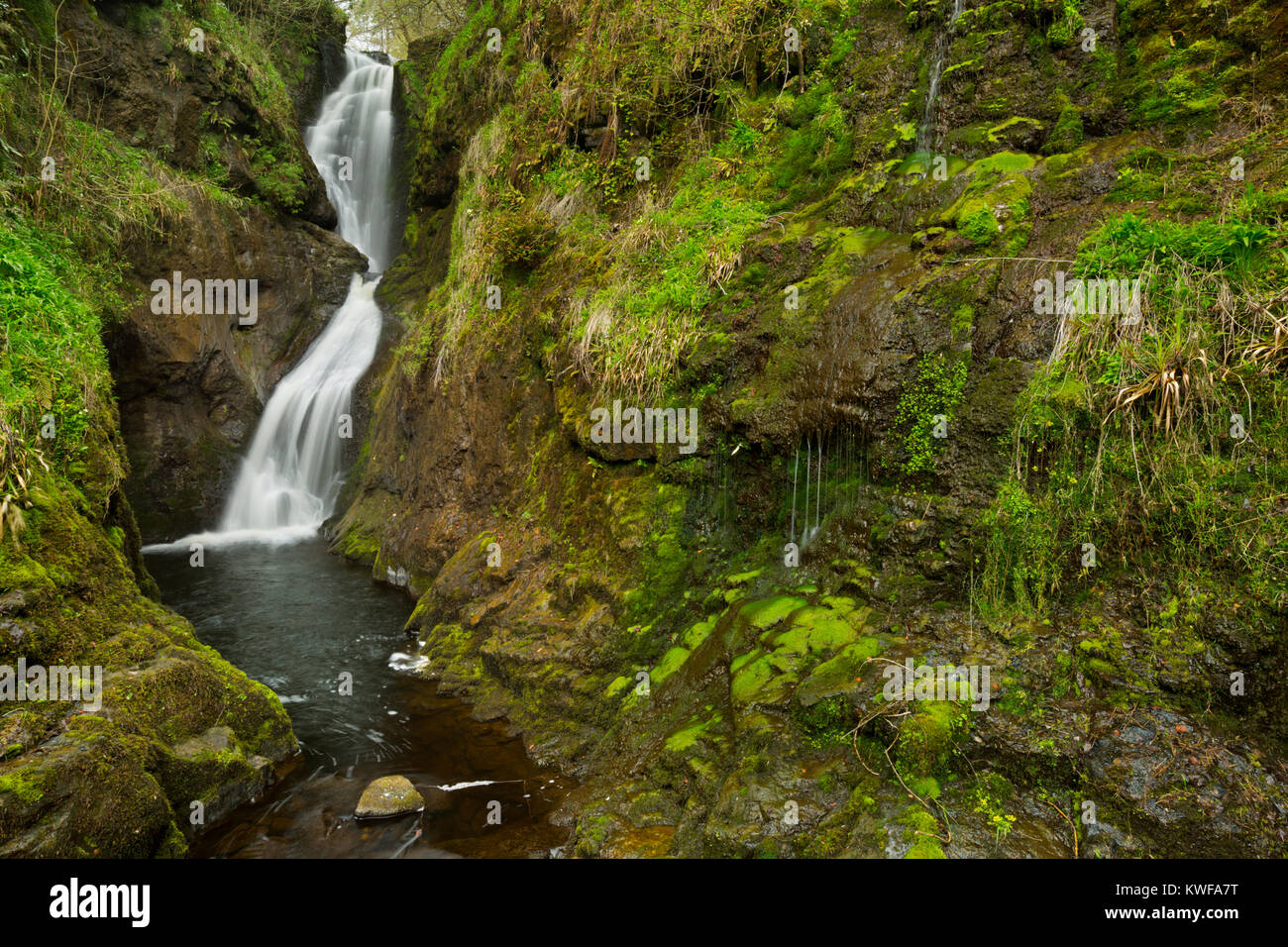 The Ess-Na-Laragh waterfall in Glenariff Forest Park in Northern Ireland. Stock Photo