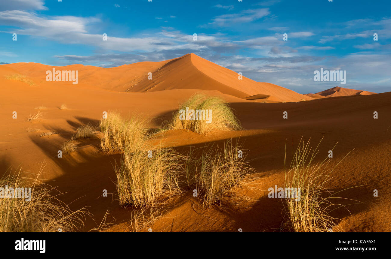 Sand dune formations in Sahara near Zagora, Eastern Morocco. Stock Photo