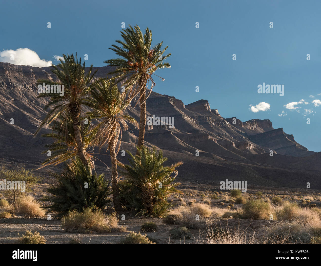 Moroccan landscape image with trees and rugged topography. Stock Photo