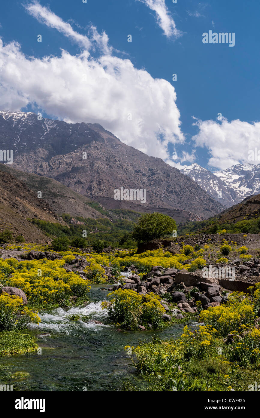 Mountain scenery with spring wild flowers in the Atlas Mountains. Stock Photo