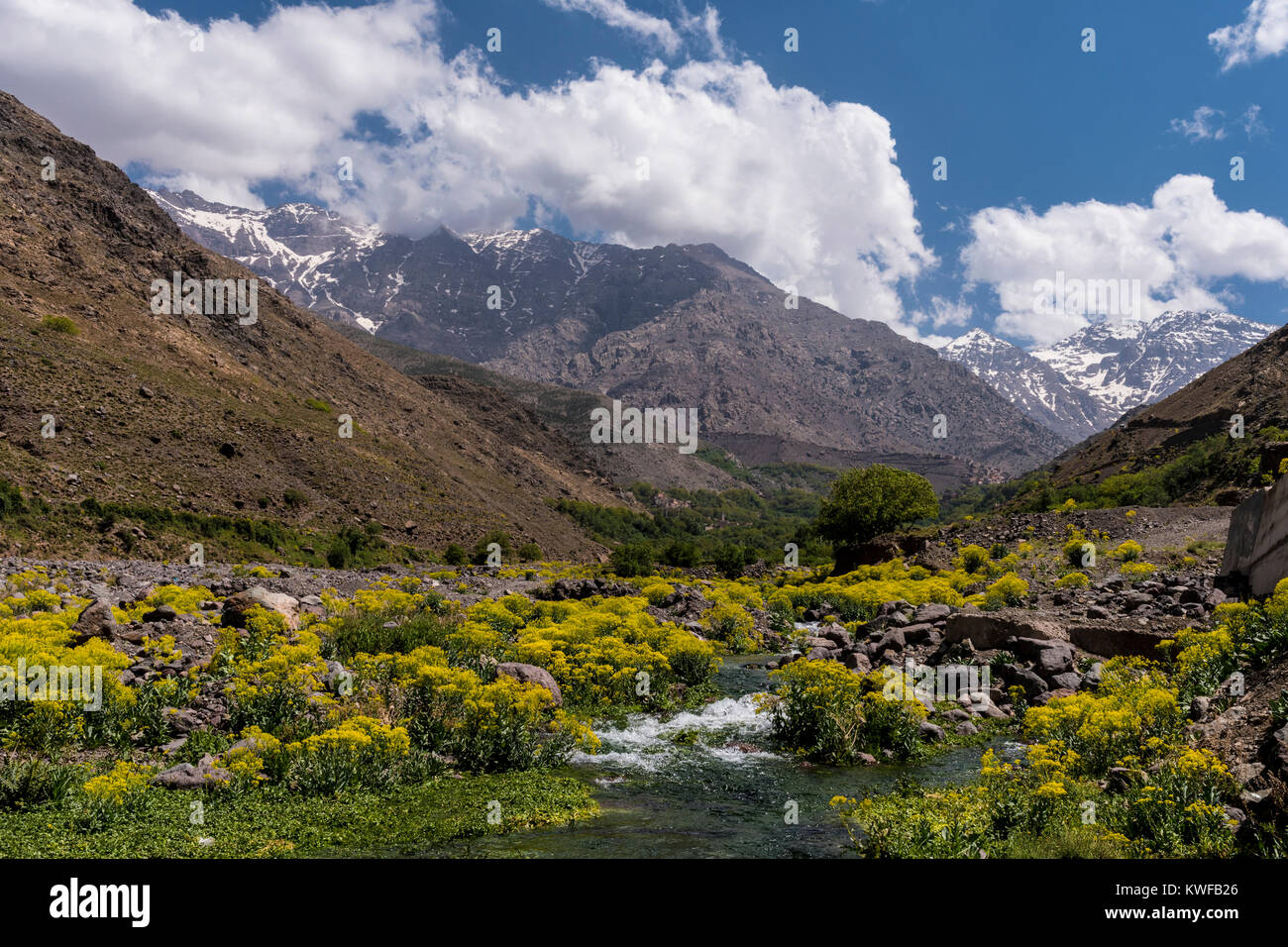 Mountain scenery with spring wild flowers in the Atlas Mountains. Stock Photo