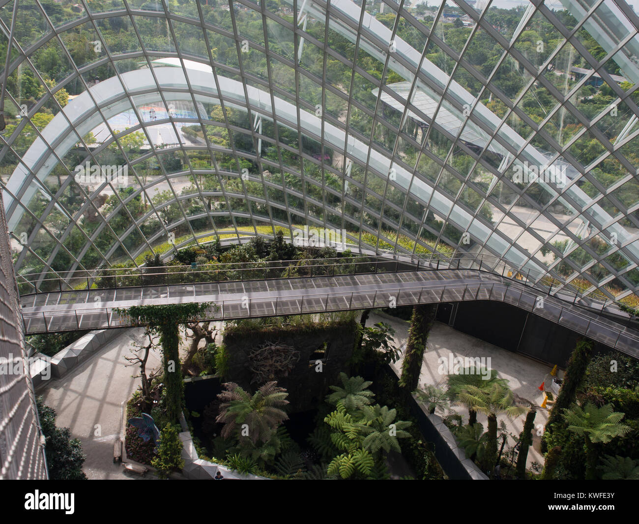 Cloud forest singapore hi-res stock photography and images - Alamy
