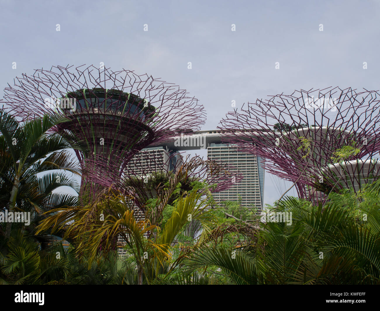 Singapore artificial trees hires stock photography and images Alamy