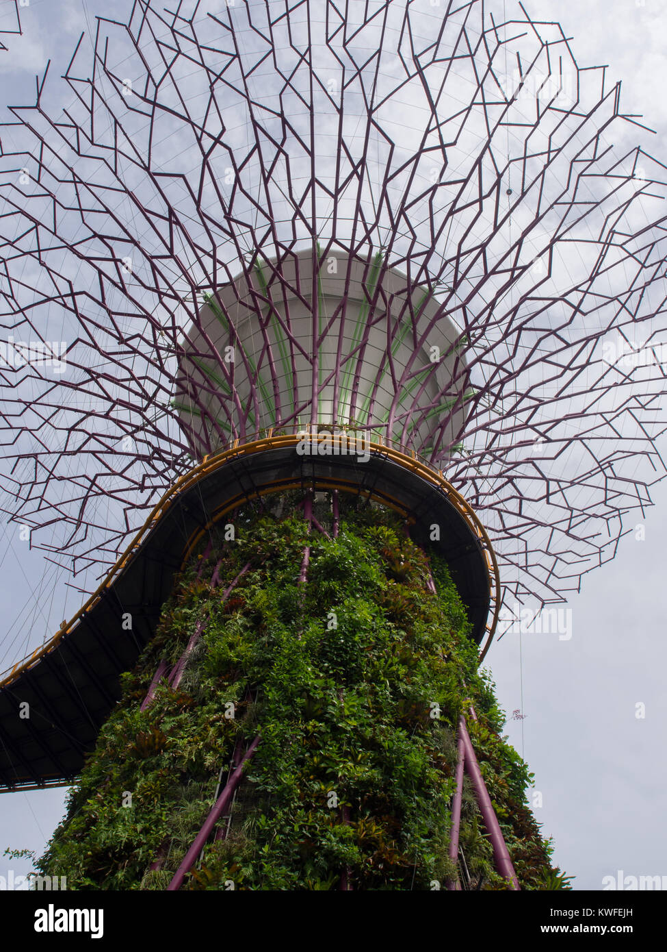 Singapore artificial trees hires stock photography and images Alamy