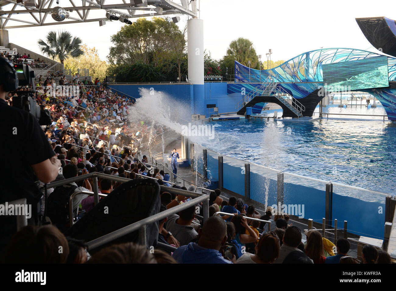 ORLANDO, FL - AUGUST 15: SeaWorld has announced a new 10 million-gallon killer whale environment in San Diego, nearly double the size of the existing facility. Similar environments are planned for SeaWorld Orlando and SeaWorld San Antonio, the company said on Friday. The new facility measures 350 feet across and 50 feet deep, a size that SeaWorld says will “support the whales' broad range of behaviors and provide choices that can challenge the whales both physically and mentally.” SeaWorld also pledged $10 million in matching funds for orca research. The company's stock plummeted 33 percent on Stock Photo
