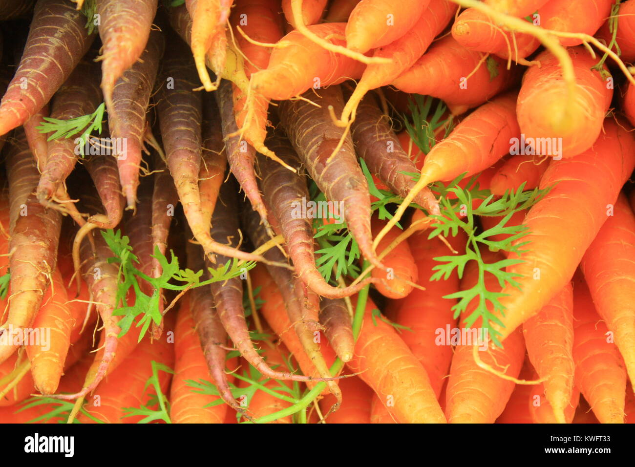 Farm stand veggies hi-res stock photography and images - Alamy