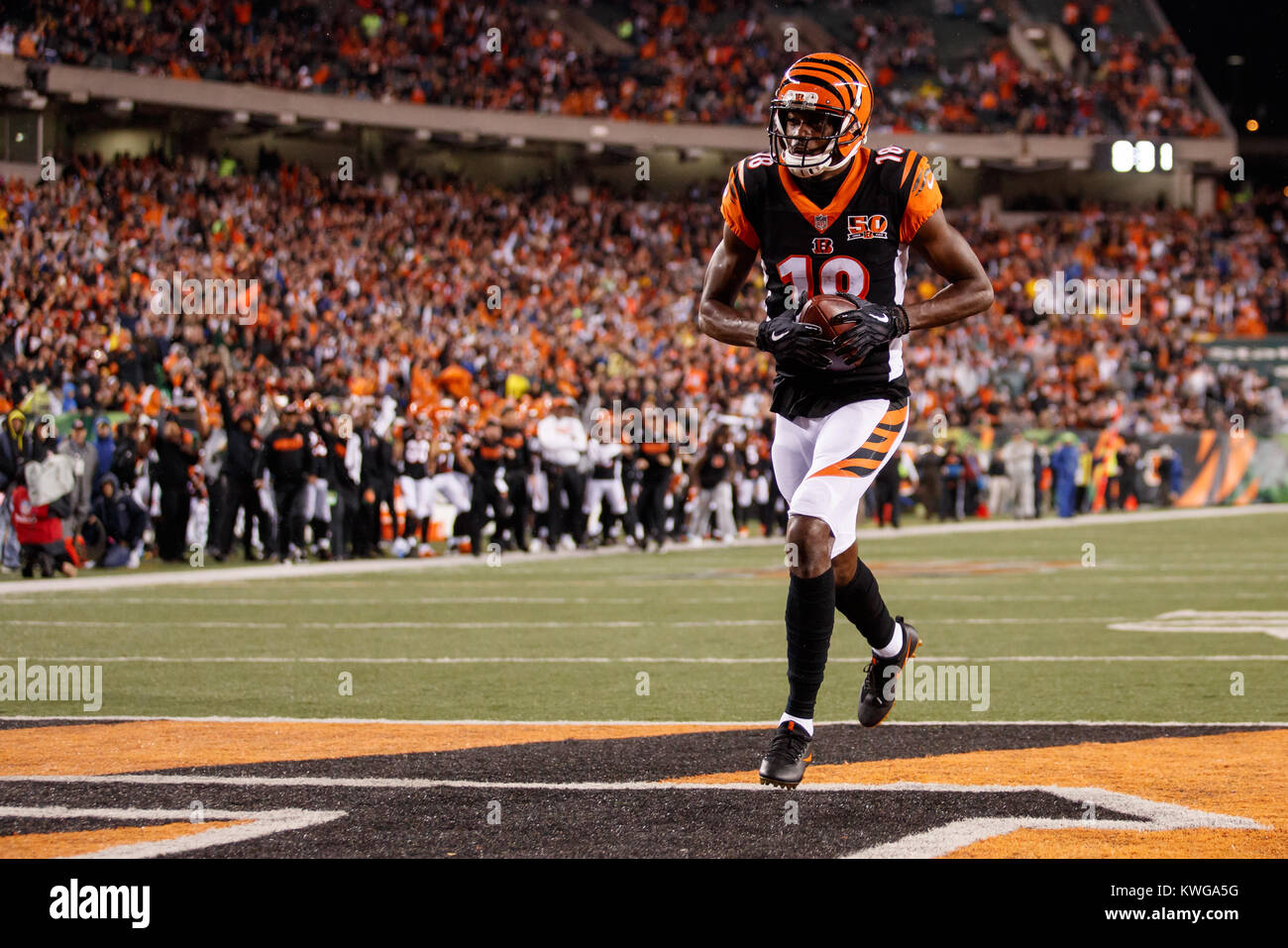 Bengals stadium hires stock photography and images Alamy
