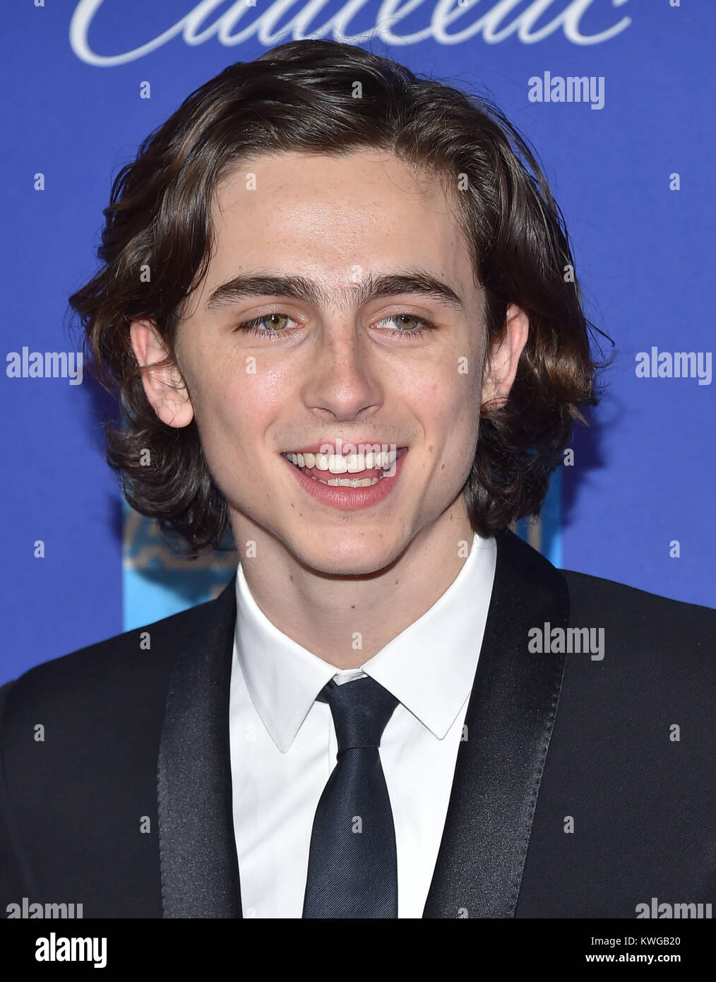 Palm Springs, California, USA. 2nd Jan, 2018. Timothee Chalamet arrives