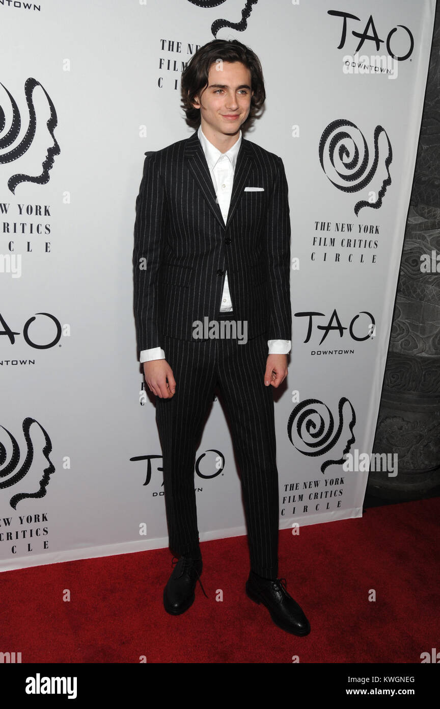 New York, NY, USA. 3rd Jan, 2018. Timothee Chalamet at the New York ...