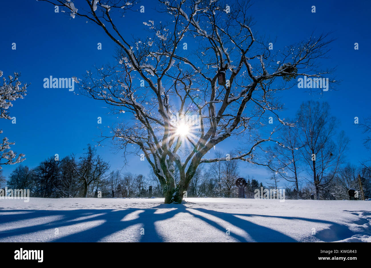 Snow covered landscape in winter, Bavaria, Germany, Europe Stock Photo