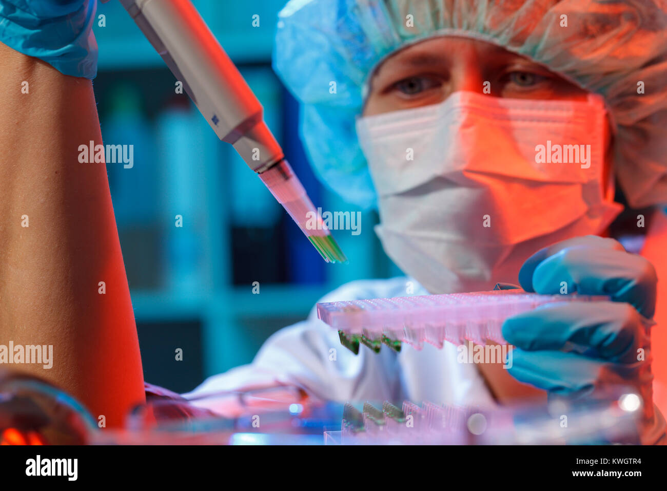 scientist loads pcr plate for DNA analysis with multichannel pipette