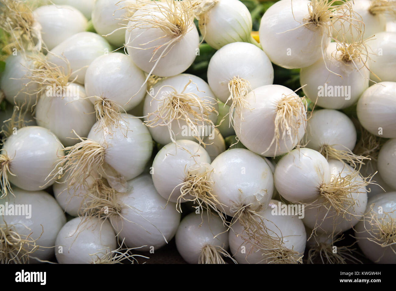 Vegetable onions hi-res stock photography and images - Alamy