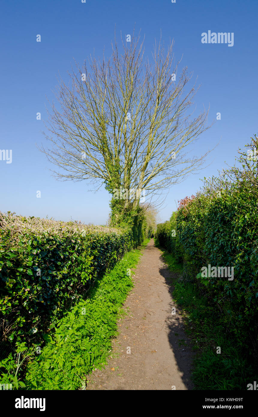 Boughton Monchelsea village, Kent, England. Public footpath between ...