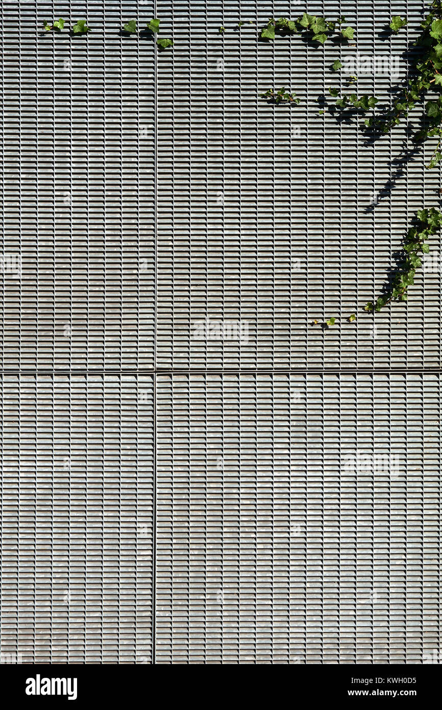 Plant growing on a building facade covered in galvanised metal grills Stock Photo