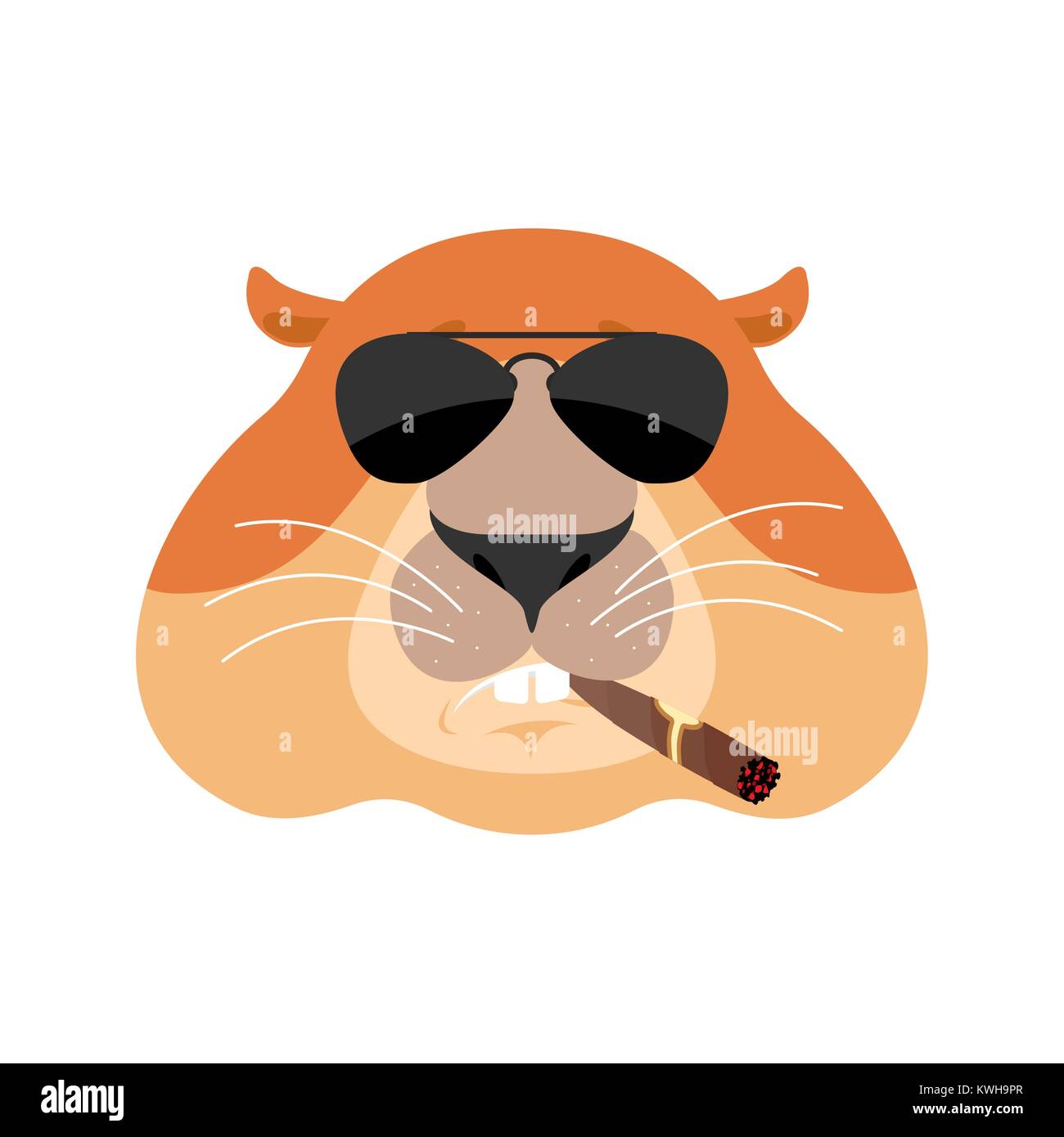 Groundhog Cool serious avatar of emotions. Woodchuck smoking cigar