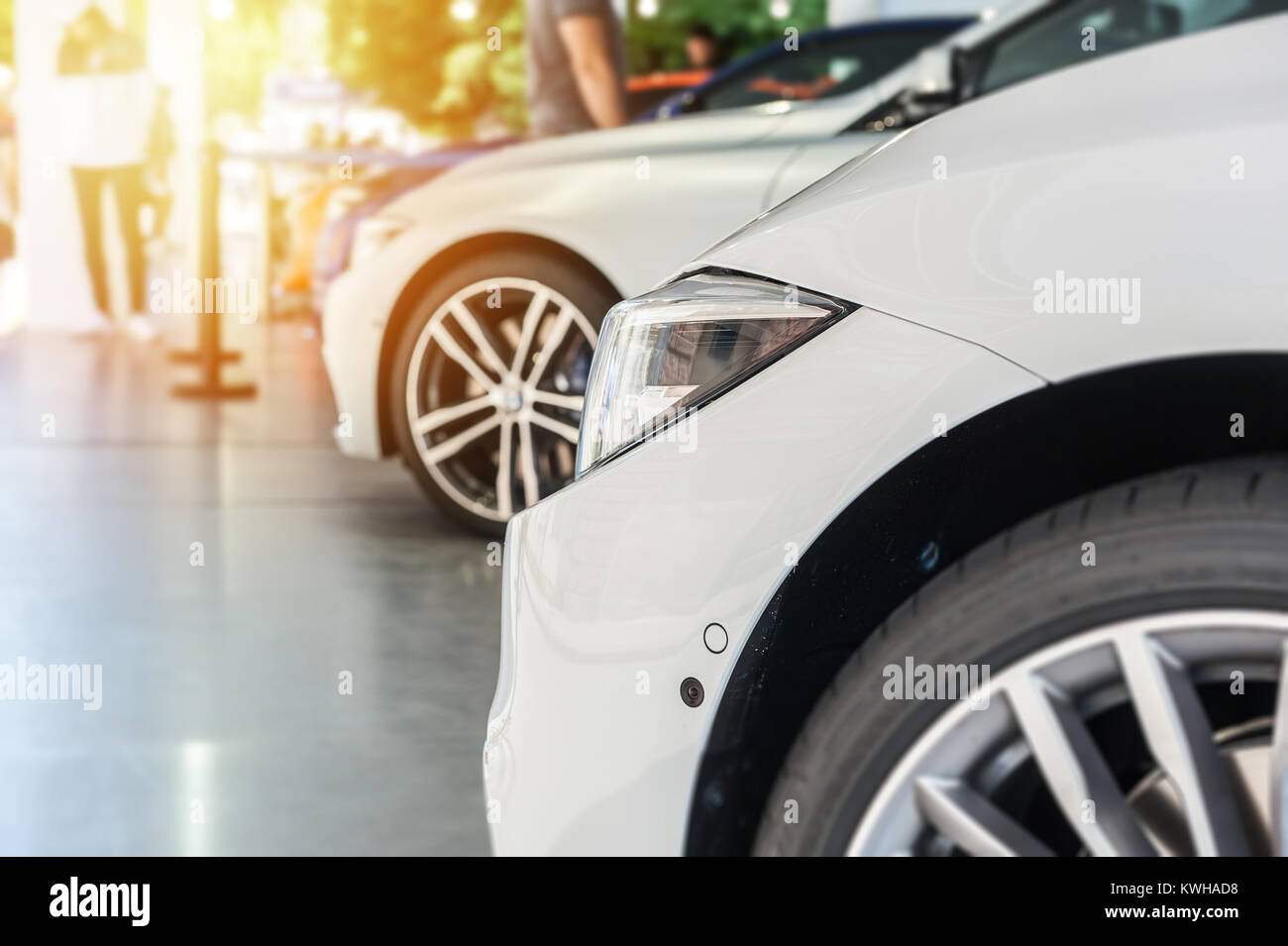New cars in a showroom with white car in focus Stock Photo