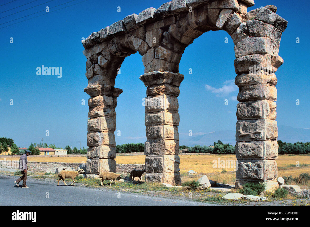 A Shepherd and His Sheep Walk Past the Roman Aqueduct built in c2nd AD at Kemerhisar, Nigde Provence, Cappadocia, Turkey Stock Photo