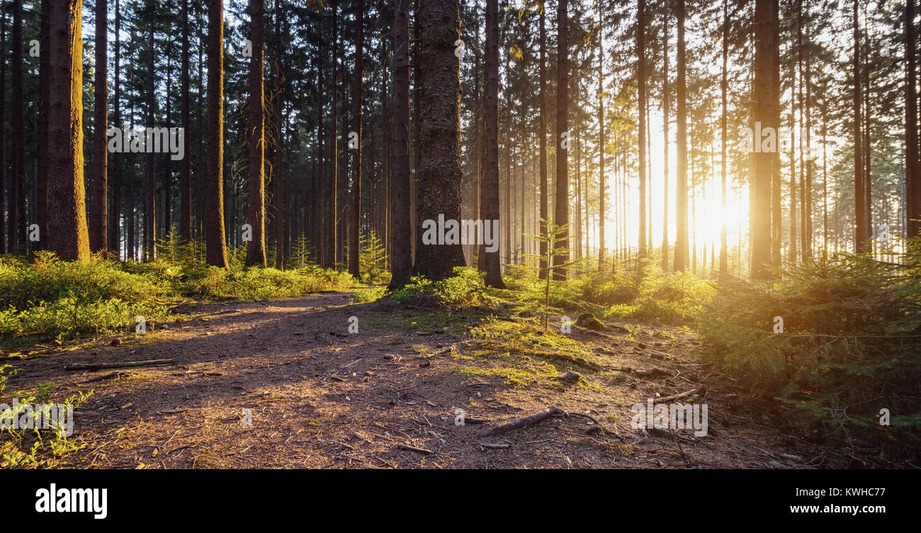 Spring landscape hiking path hi-res stock photography and images - Alamy