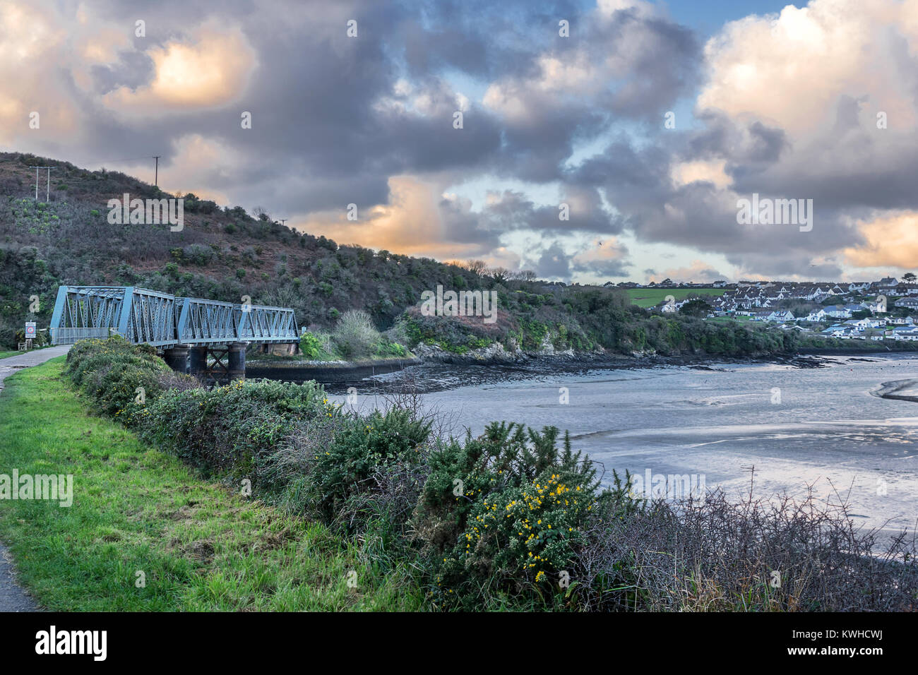 Camel Trail near Padstow in Cornwall Stock Photo Alamy
