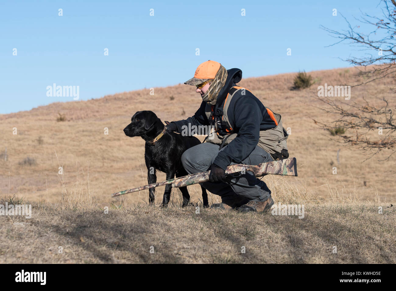 Pheasant hunter with a Black Labrador Retriever on a late season