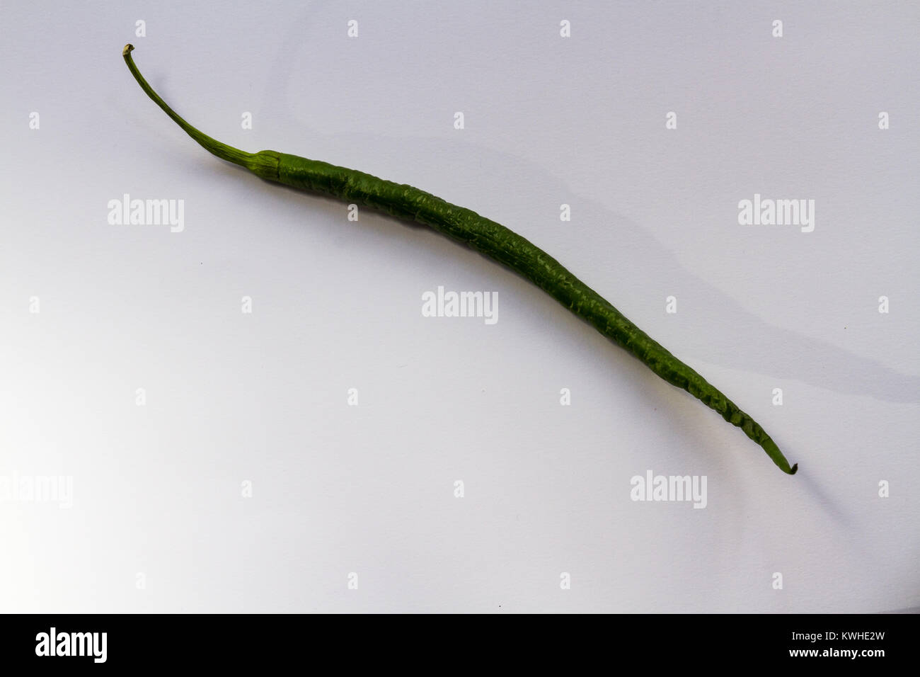 Green chilli on a white background Stock Photo - Alamy