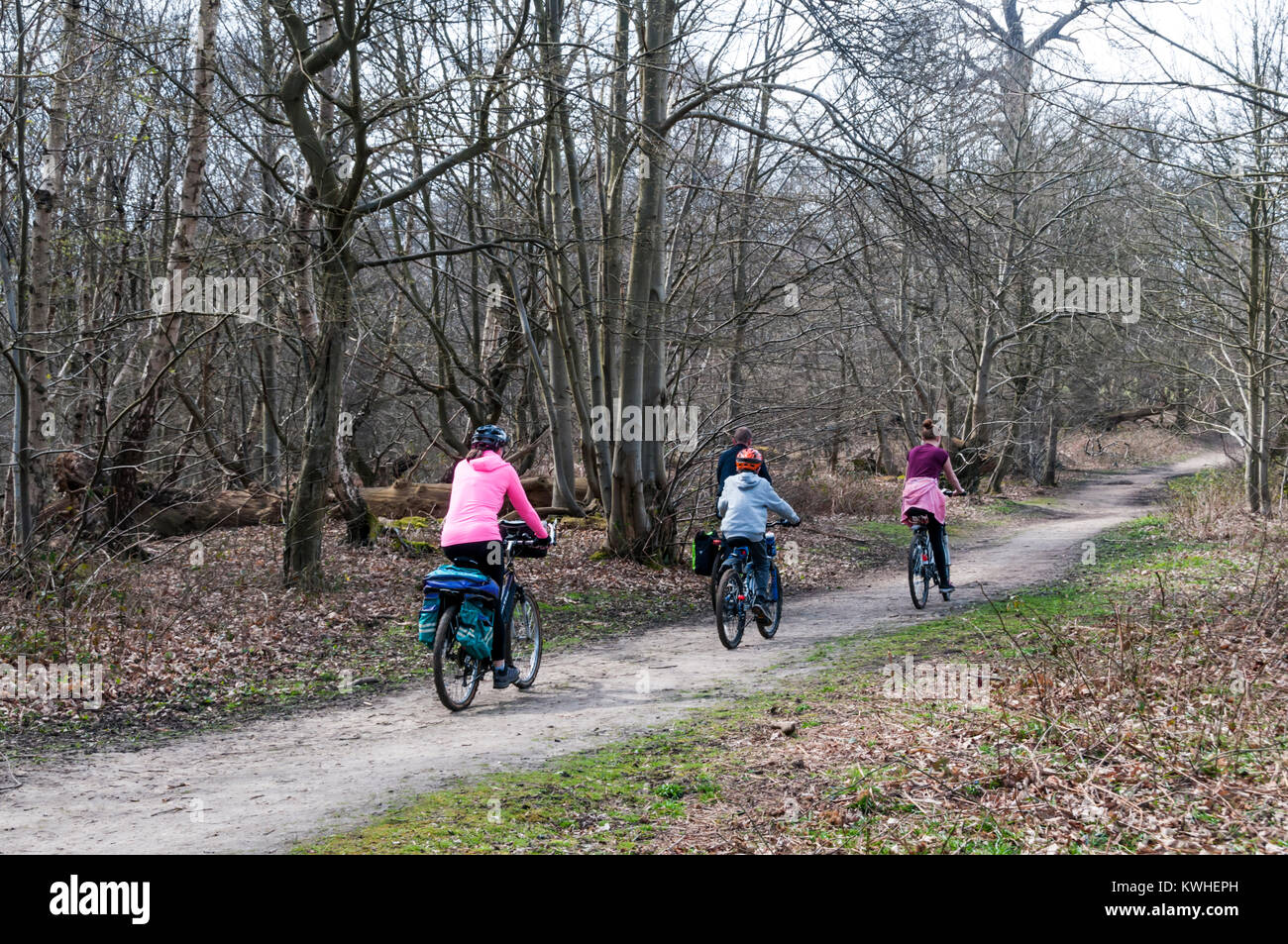 Family cycling through woods at Cobham in Kent. Stock Photo