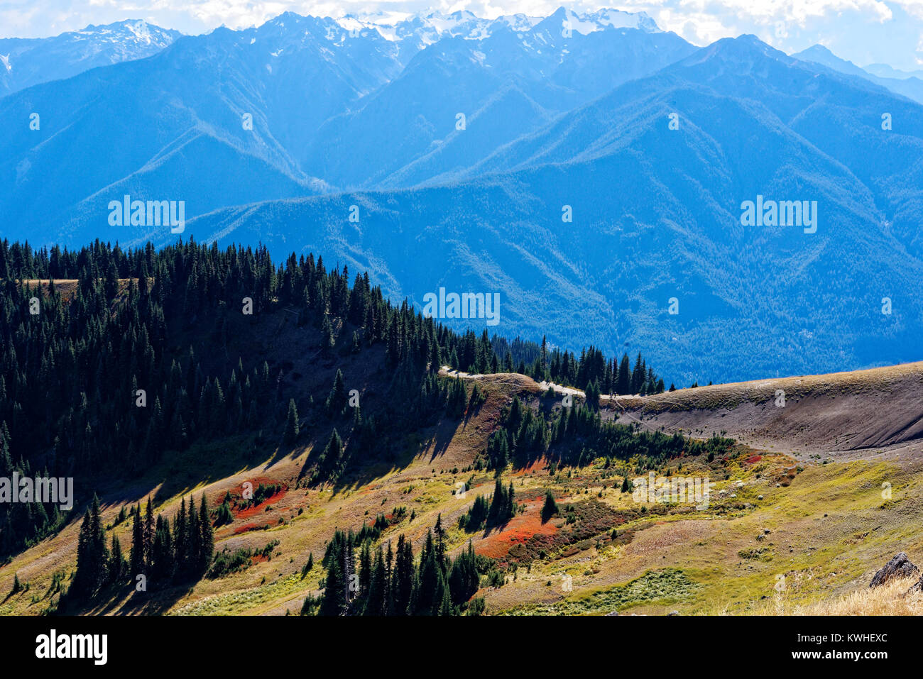 hurricane hill trail