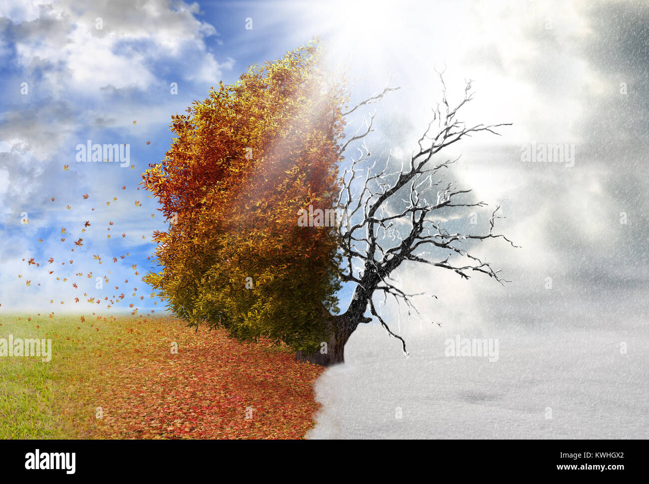 Season of transformation hi-res stock photography and images - Alamy