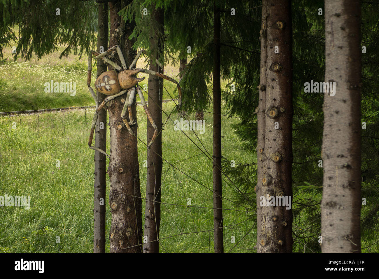 Gigantic spider on the tree Stock Photo Alamy
