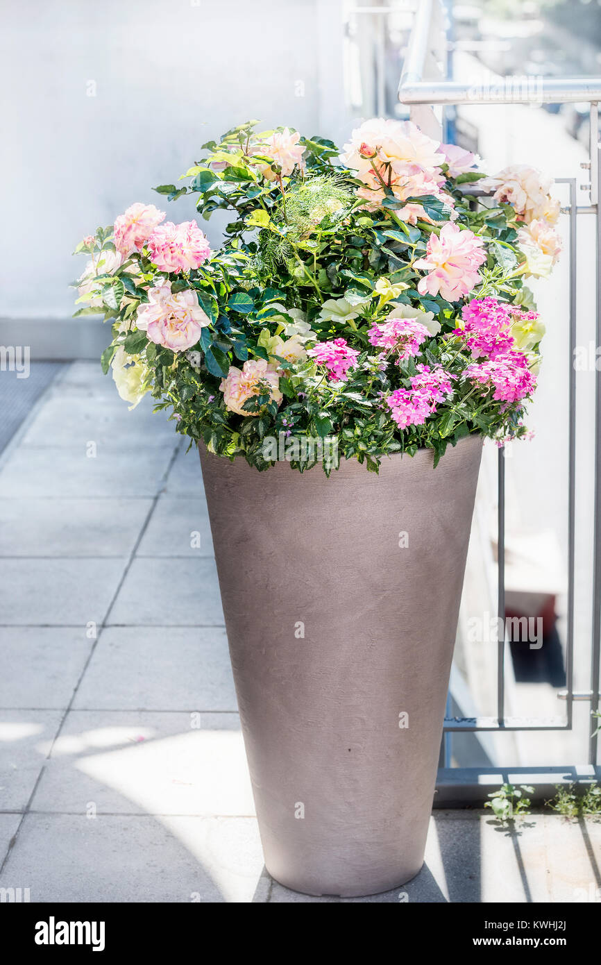 Beautiful patio pot with floral arrangements hires stock photography