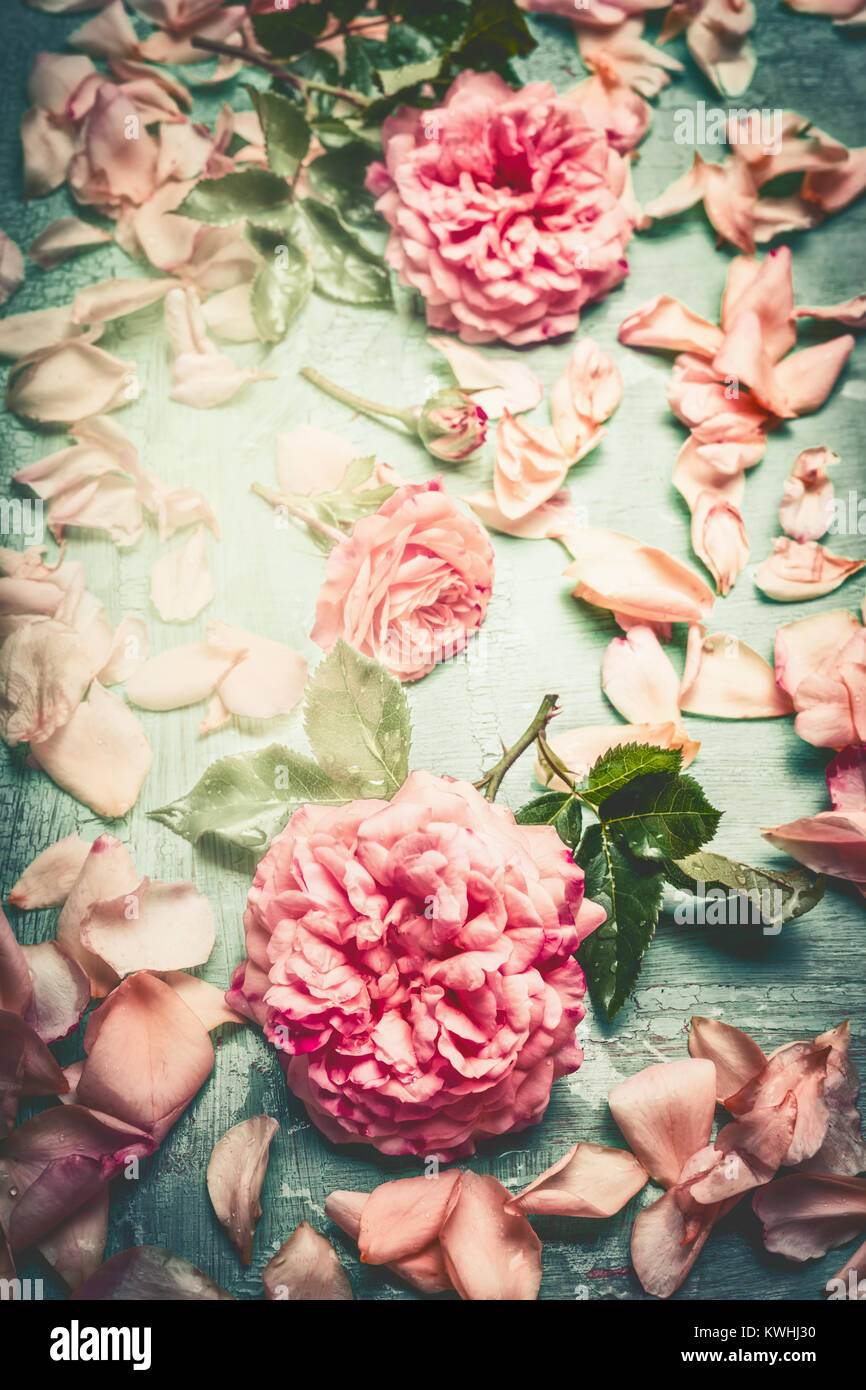Pink roses composing with flowers petal and leaves on turquoise shabby ...