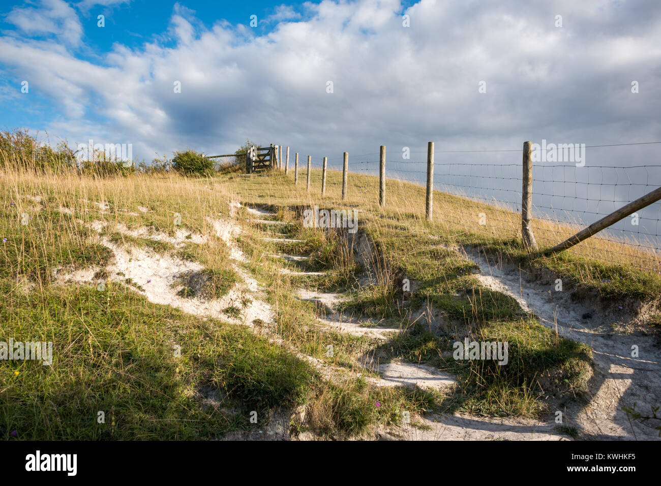 Walking at Barton Hills National Nature Reserve, BartonleClay