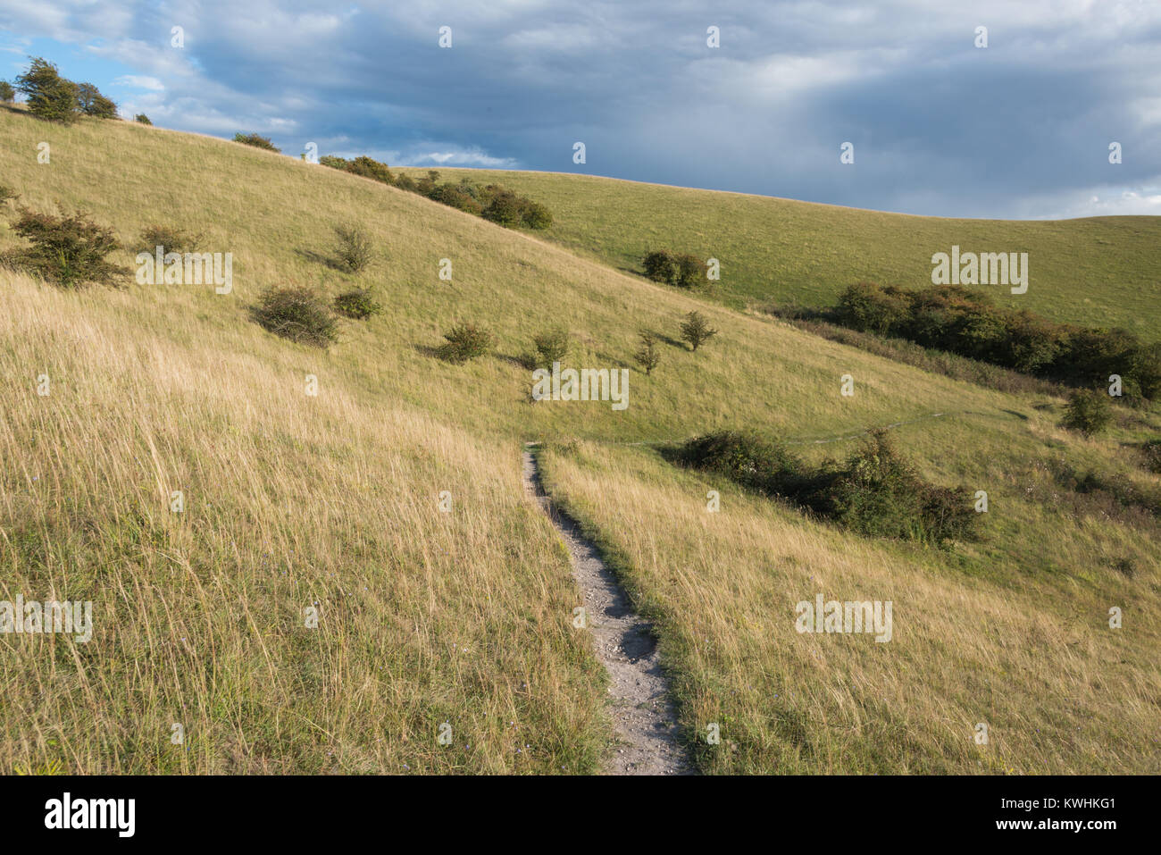 Barton Hills National Nature Reserve in BartonleClay, Bedfordshire