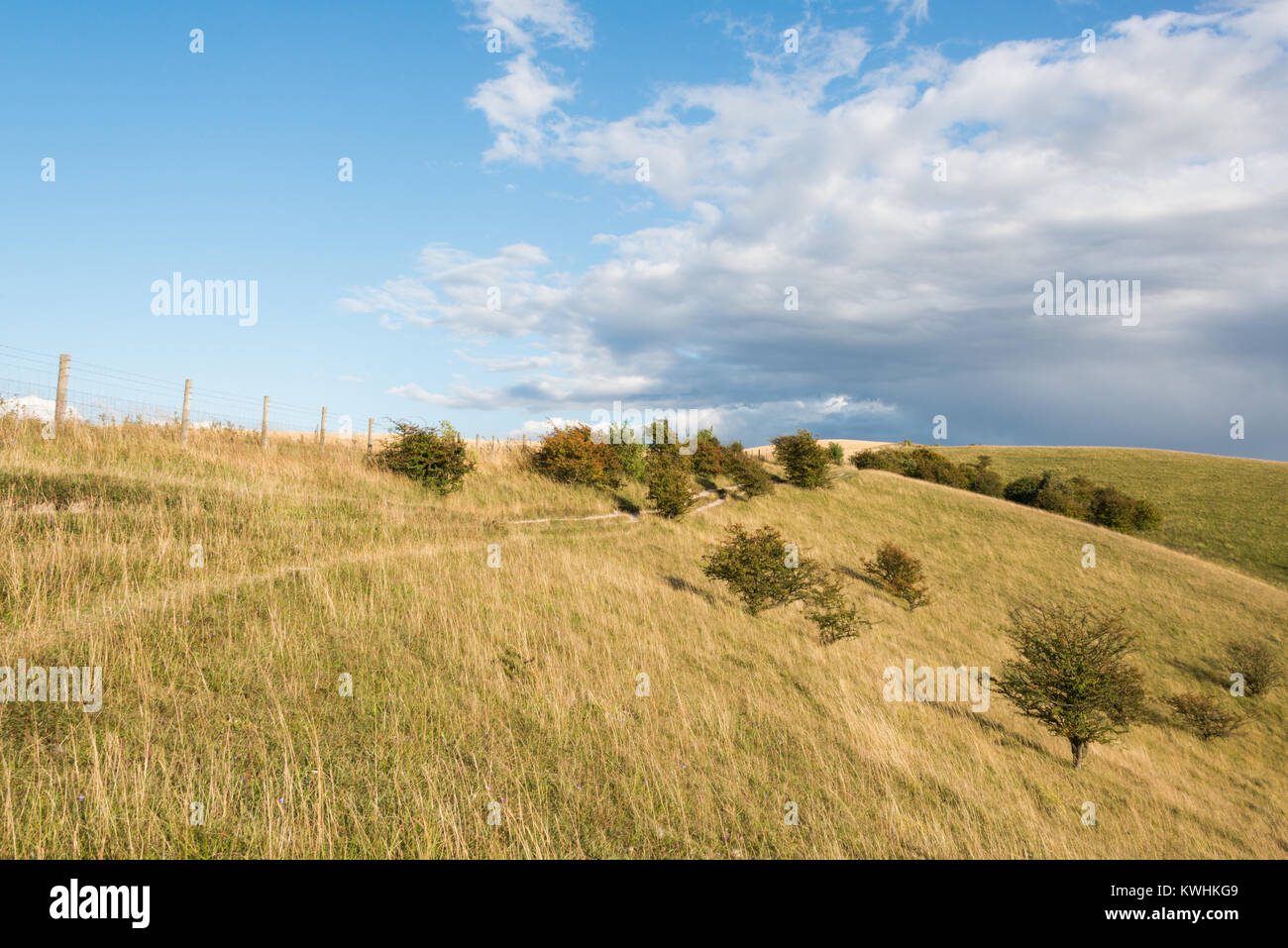 Barton Hills National Nature Reserve in BartonleClay, Bedfordshire
