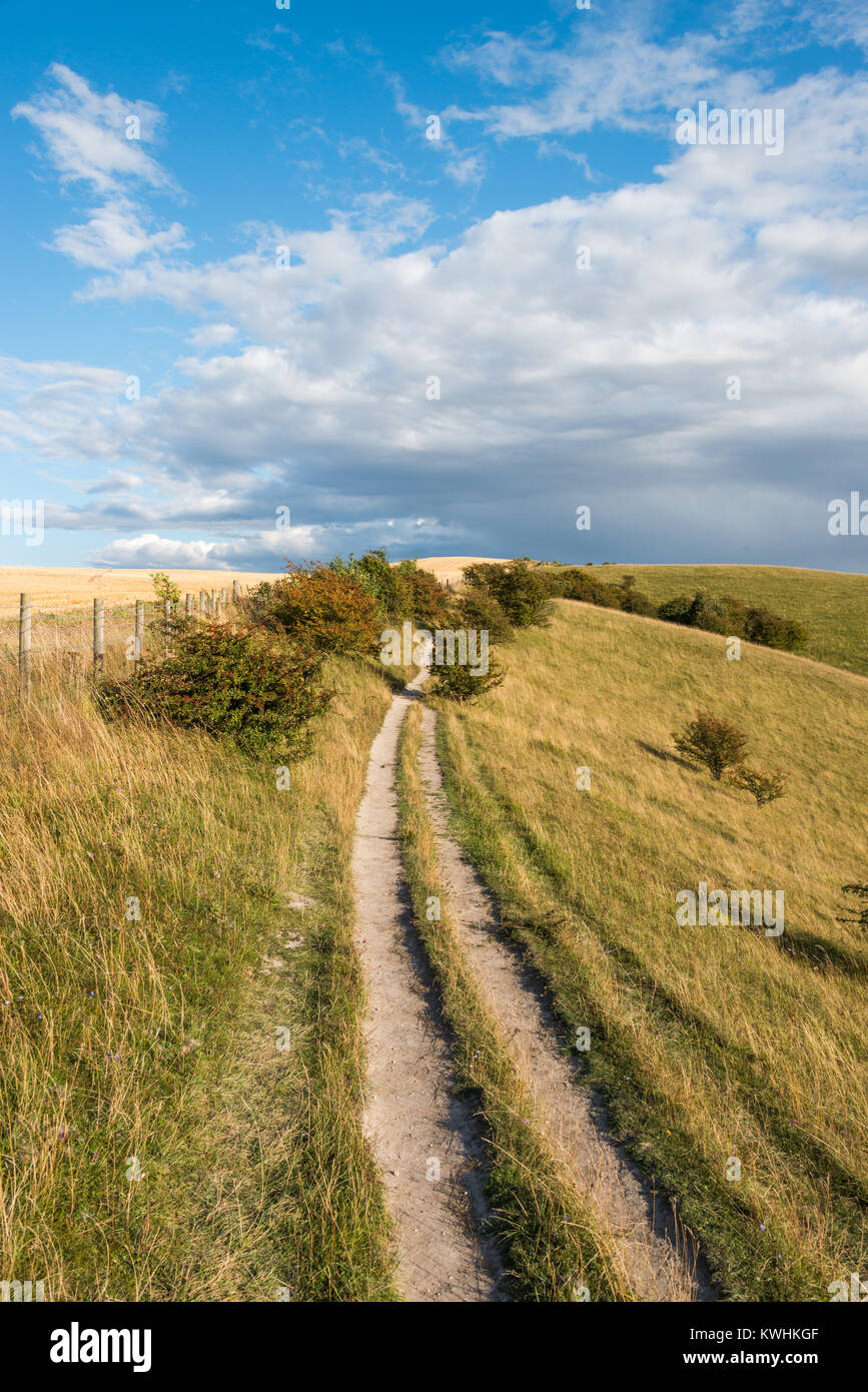 Barton Hills National Nature Reserve in BartonleClay, Bedfordshire