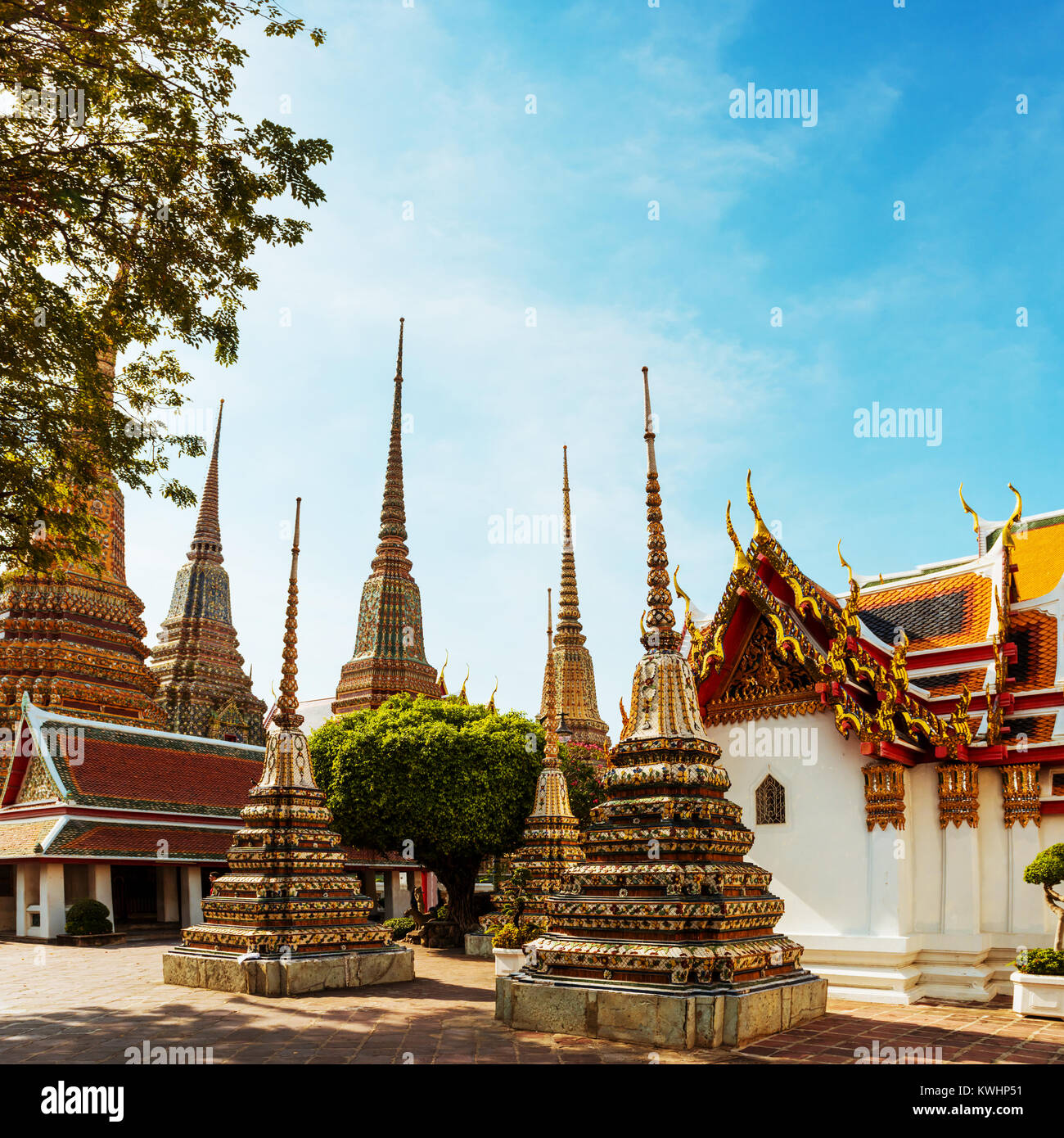 My Image 7
