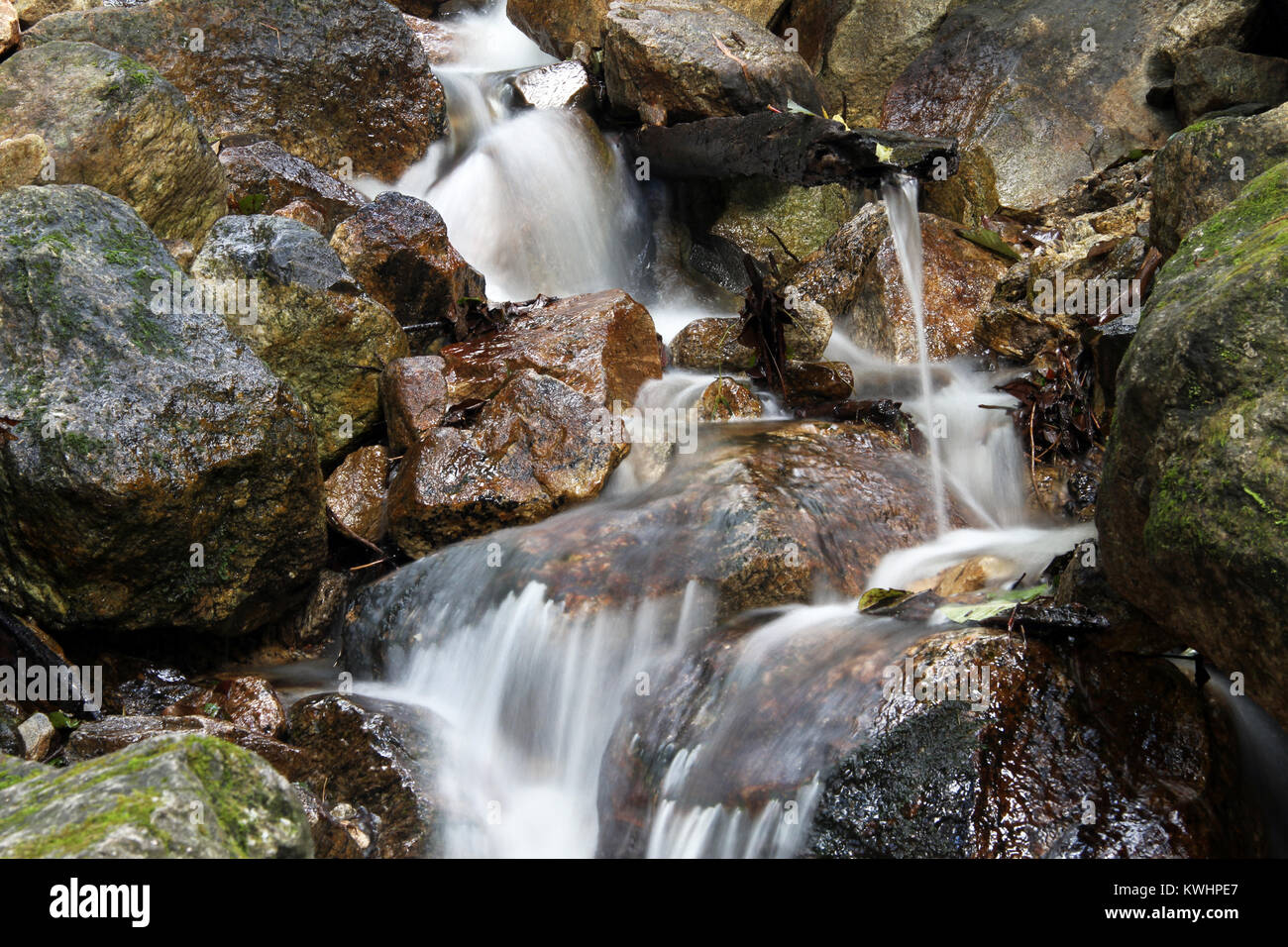 Spring with clean water and rocks Stock Photo - Alamy