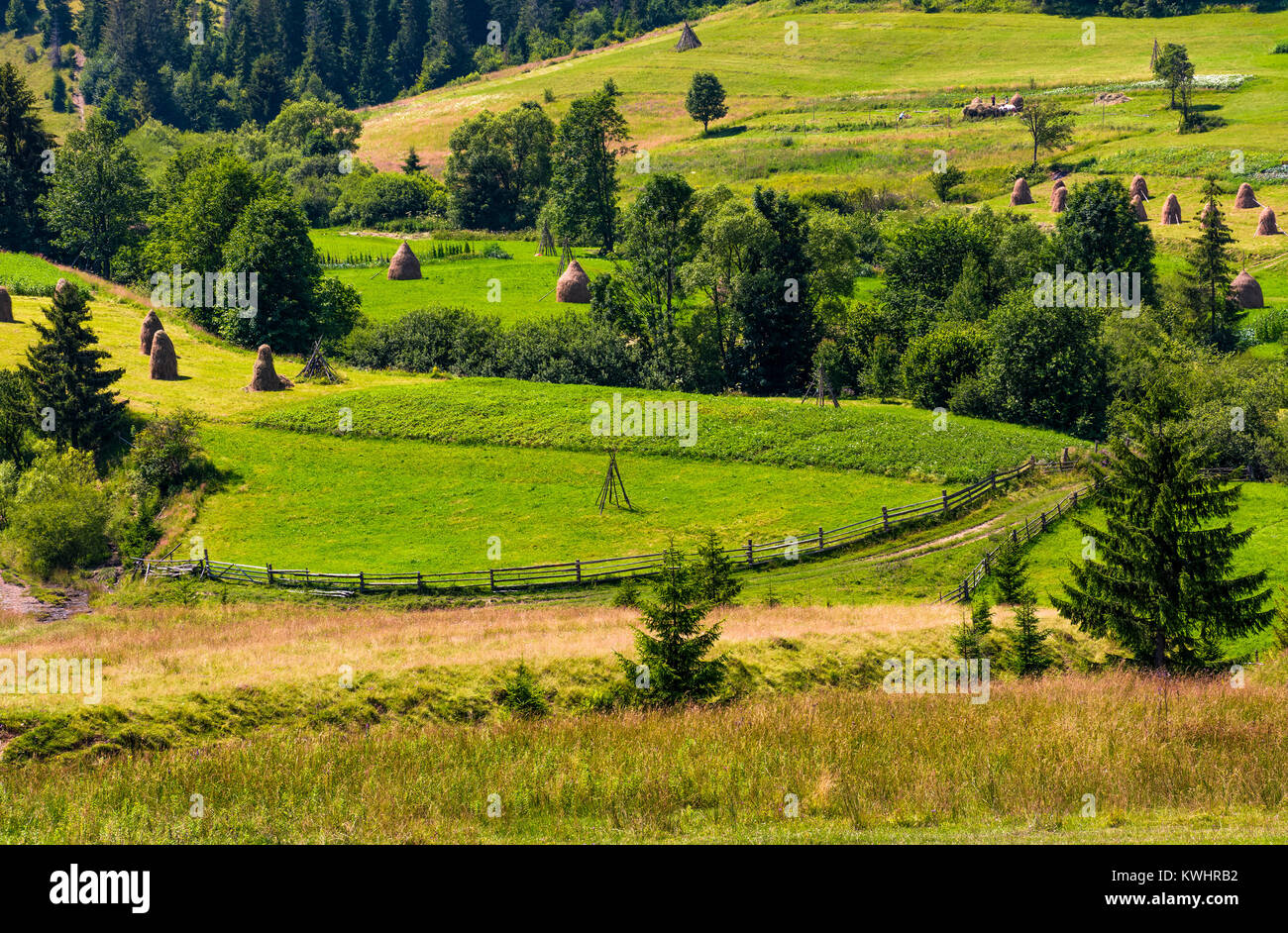 agricultural hills and haystacks. lovely rural scenery in springtime. outdated industrial approach, traditional farming concept Stock Photo