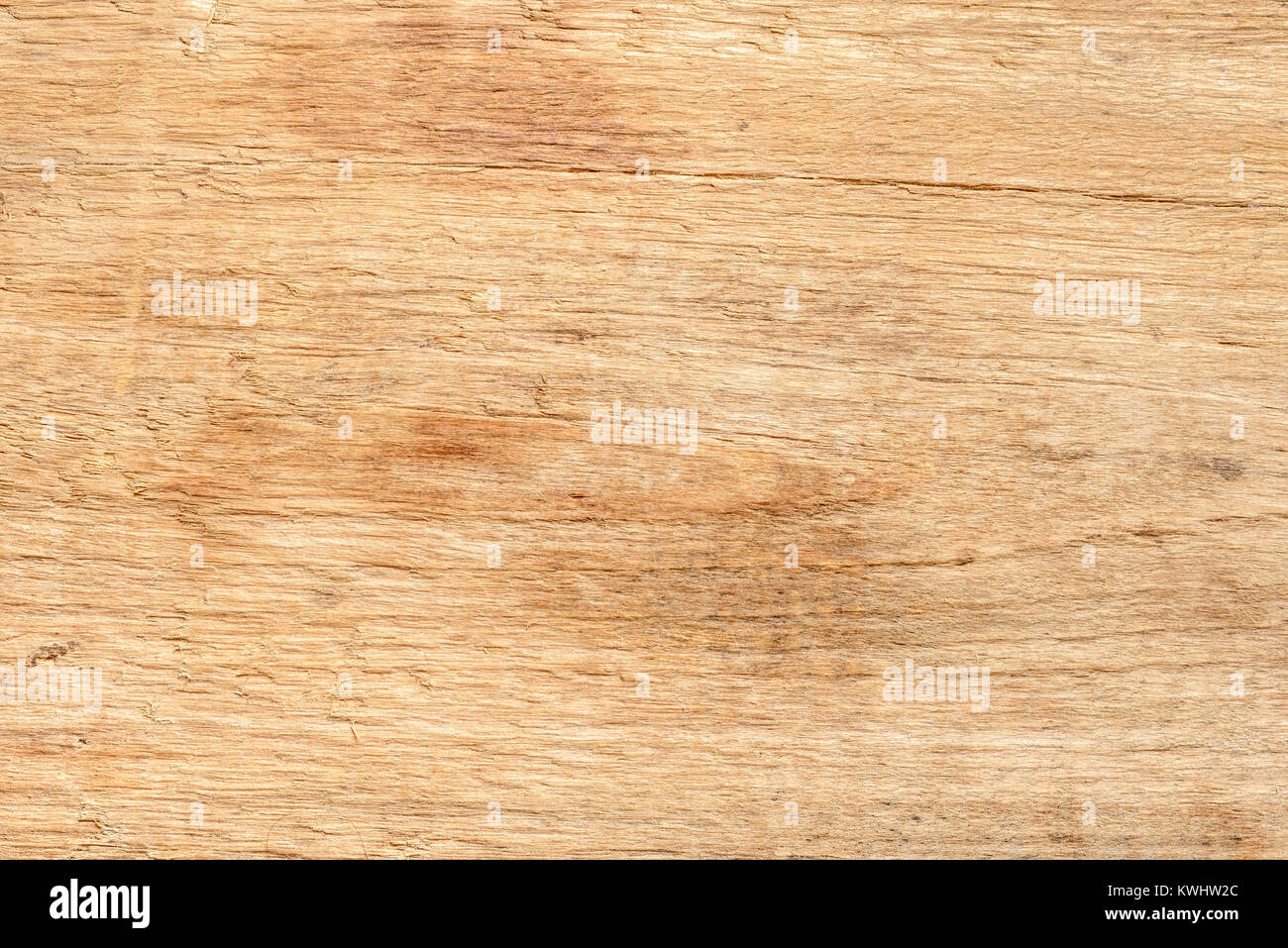 Natural light wood texture, detail of a plank. Probably fir or pine tree. Stock Photo