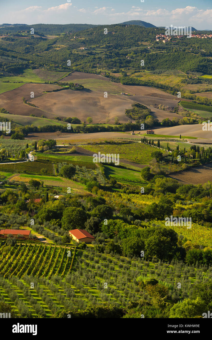 A country scene near the town of Montepulciano. Stock Photo