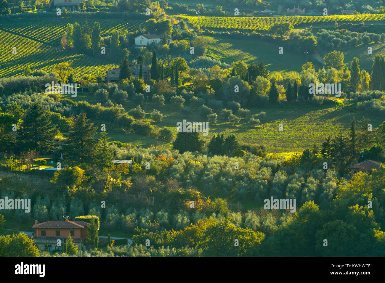 A country scene near the town of Montepulciano. Stock Photo