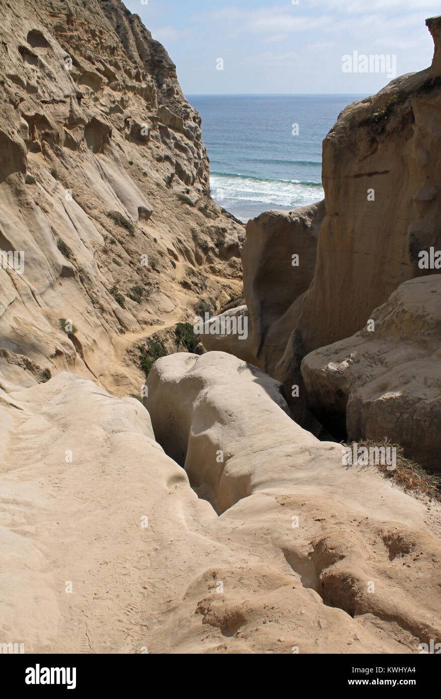 The secret "Ho Chi Minh trail" leading to the beach in La Jolla