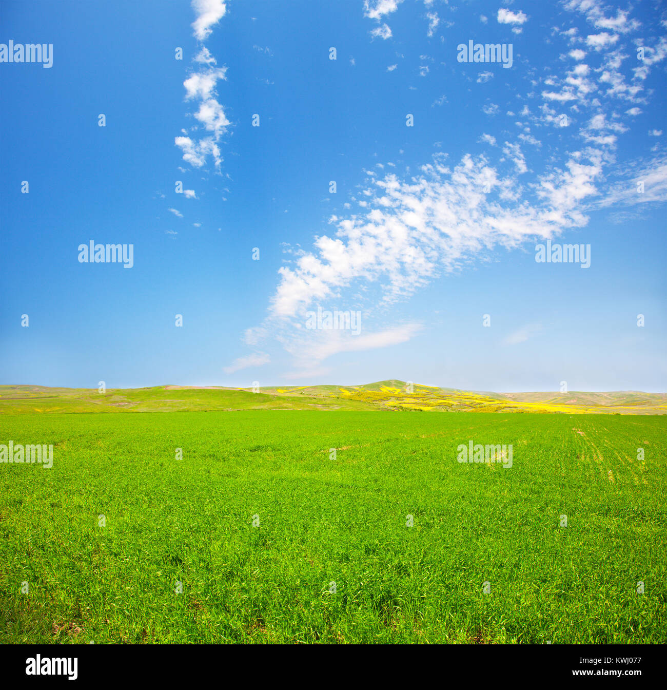 Green field under blue cloudy sky Stock Photo - Alamy