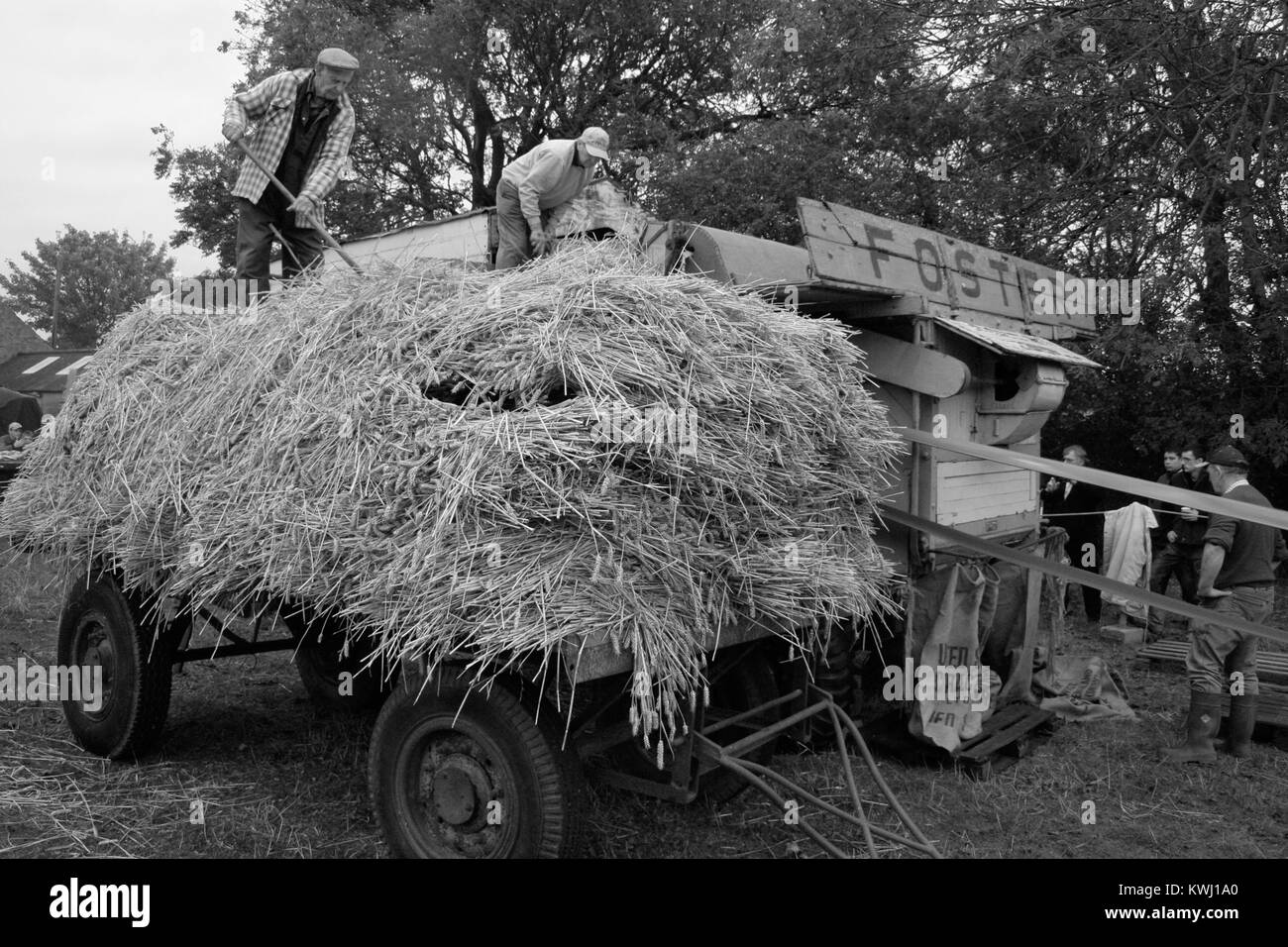 Old threshing machine being used at rural show Stock Photo