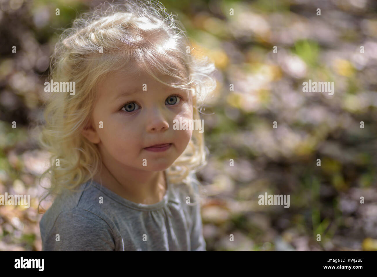 portrait of little girl sitting in woods in autumn with bokeh Stock Photo