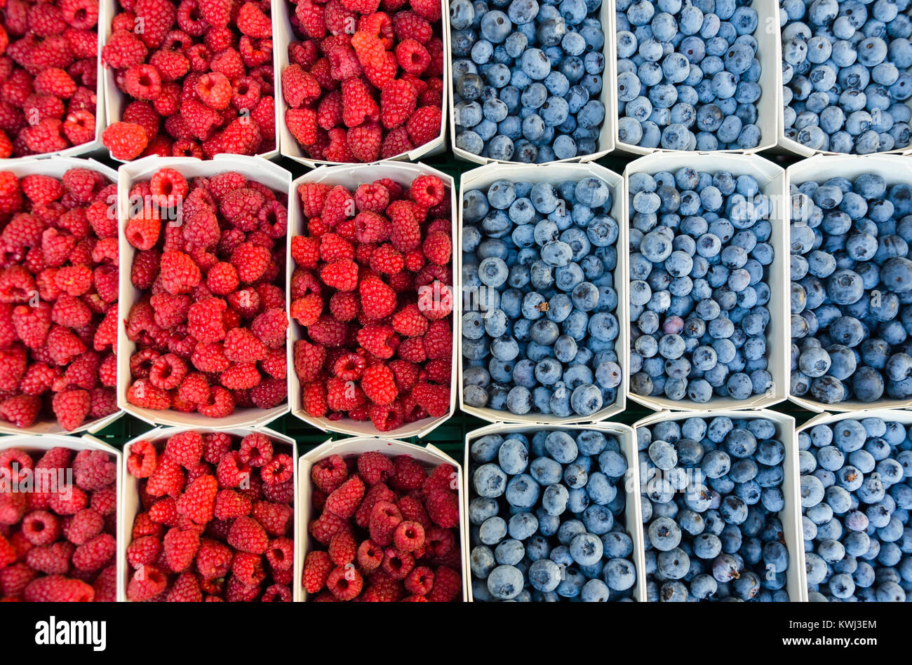 Full Frame Shot Of A Mix Of Raspberries And Blueberries Separated Midway. Stock Photo