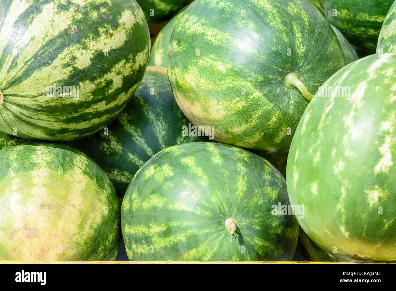 locally grown watermelon for sale outside in summer Stock Photo Alamy