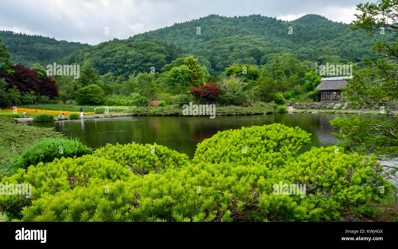 A nice day in summer time with a beautiful sceneries in oshino hakkai, japan Stock Photo