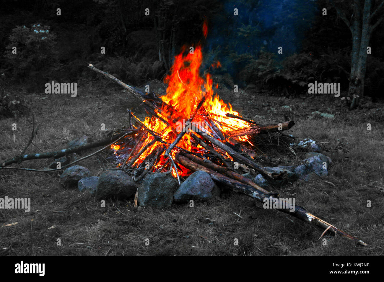 Bonfire - Celebrating Midsummer at camping site. Background desaturated. Stock Photo