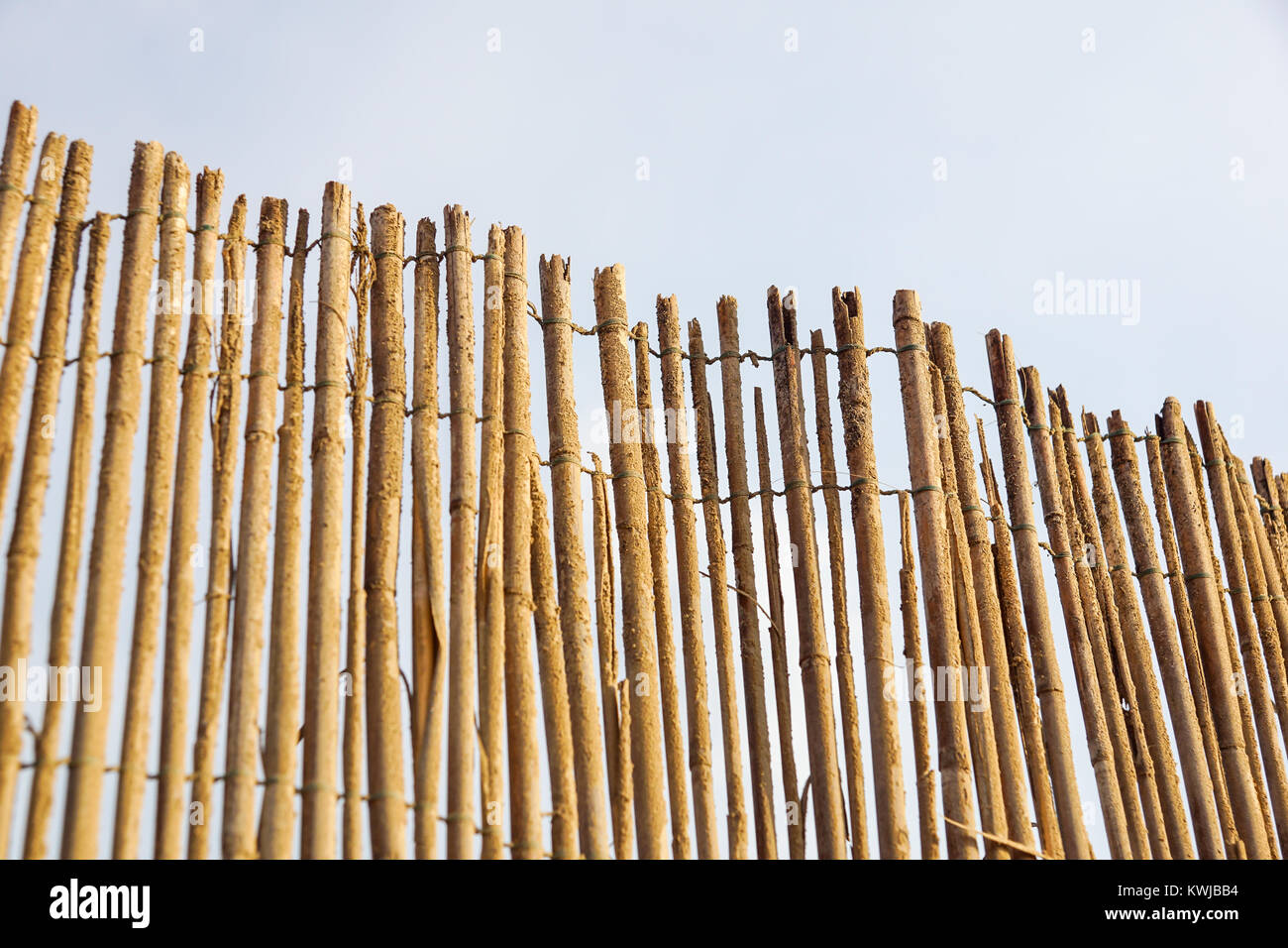 bamboo fence background on the beach Stock Photo